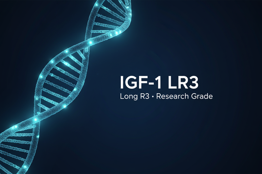 IGF-1 LR3 peptid – molekylär struktur och forskning inom muskelbiologi och metabolism